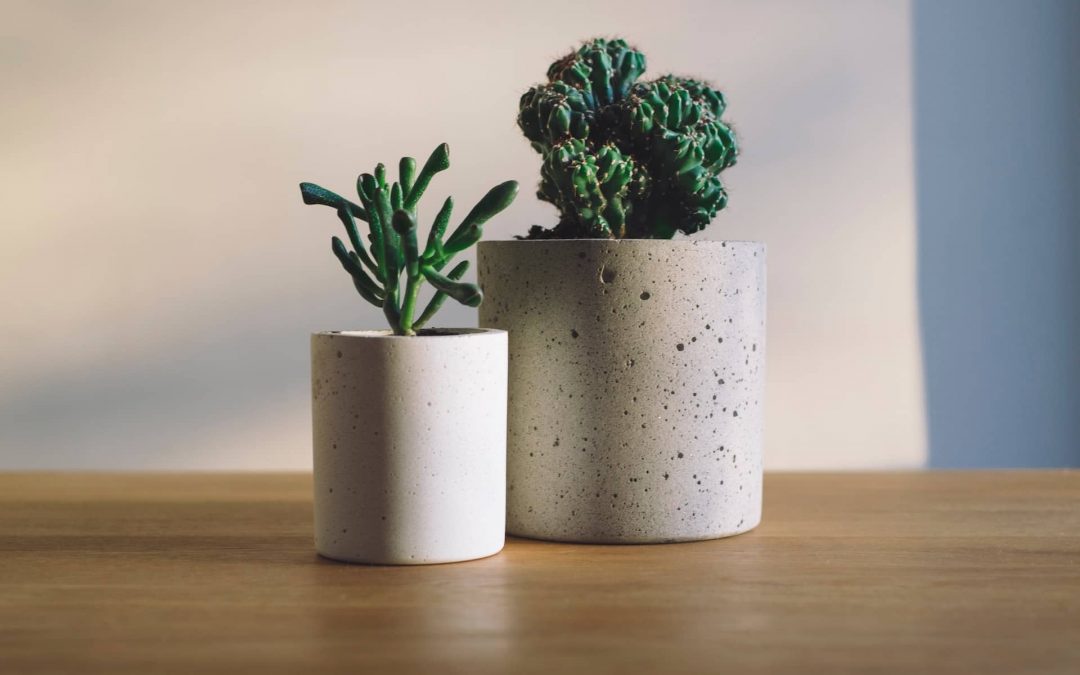 Décoration contemporaine et épurée : le béton un matériau de choix!