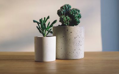 Décoration contemporaine et épurée : le béton un matériau de choix!